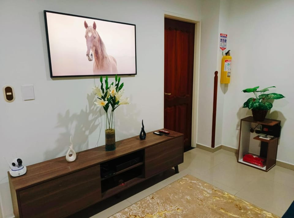 TV and multimedia