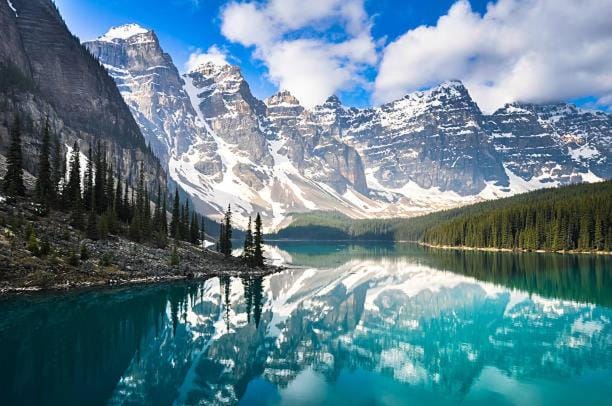 Cozy 2BR Private Basement Suite, Free Parking, WiFi, 1 Hr to Banff, 20 Min to City Bed and Breakfast in Calgary