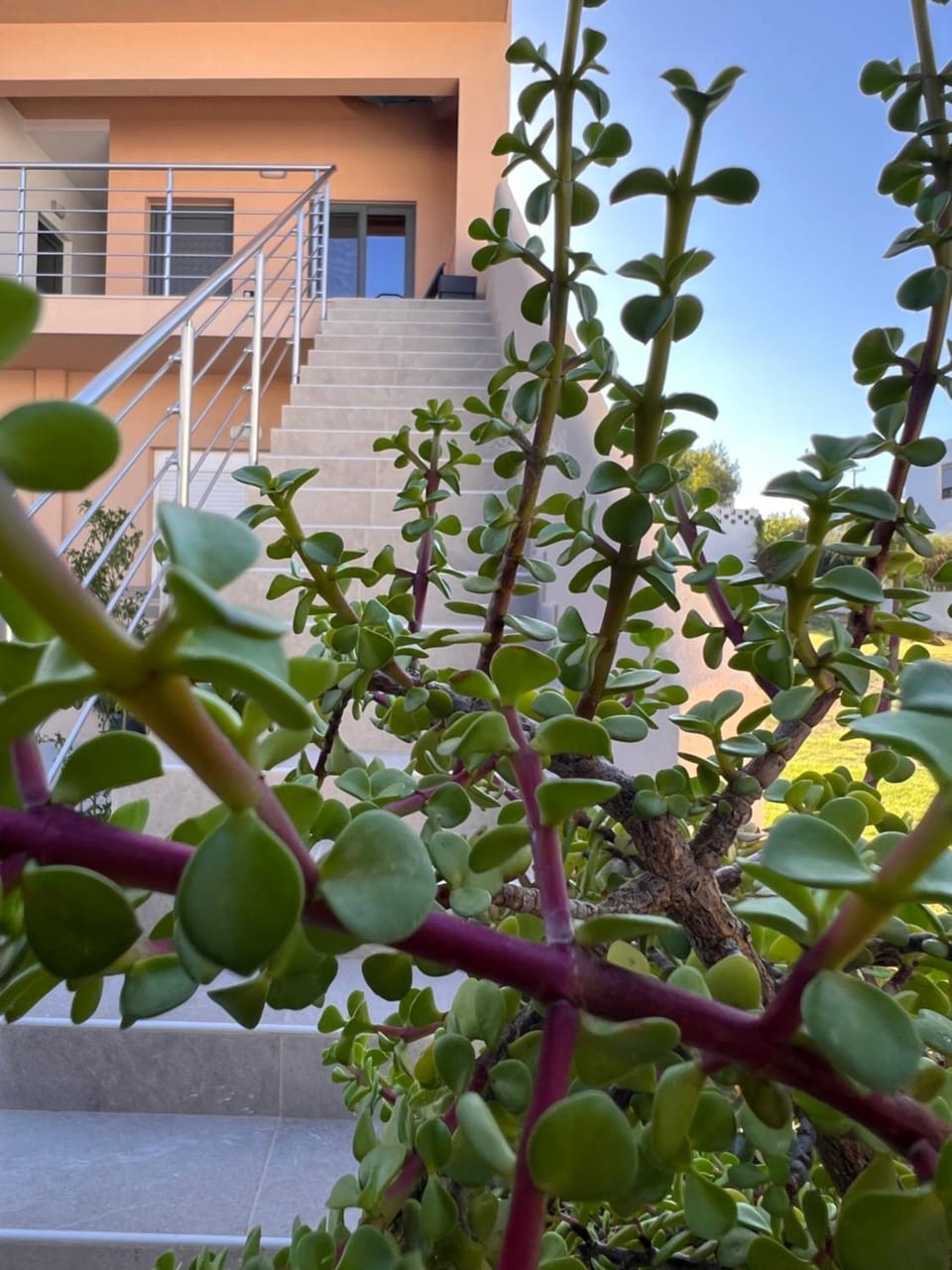 South Comfort Living Apartment in Crete