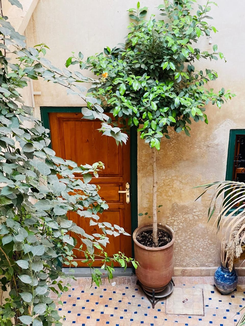 Garden, Garden view