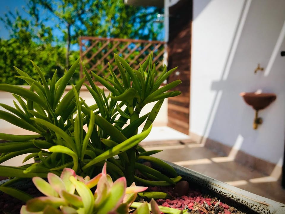 B&B Prato San Lorenzo Bed and Breakfast in Abruzzo