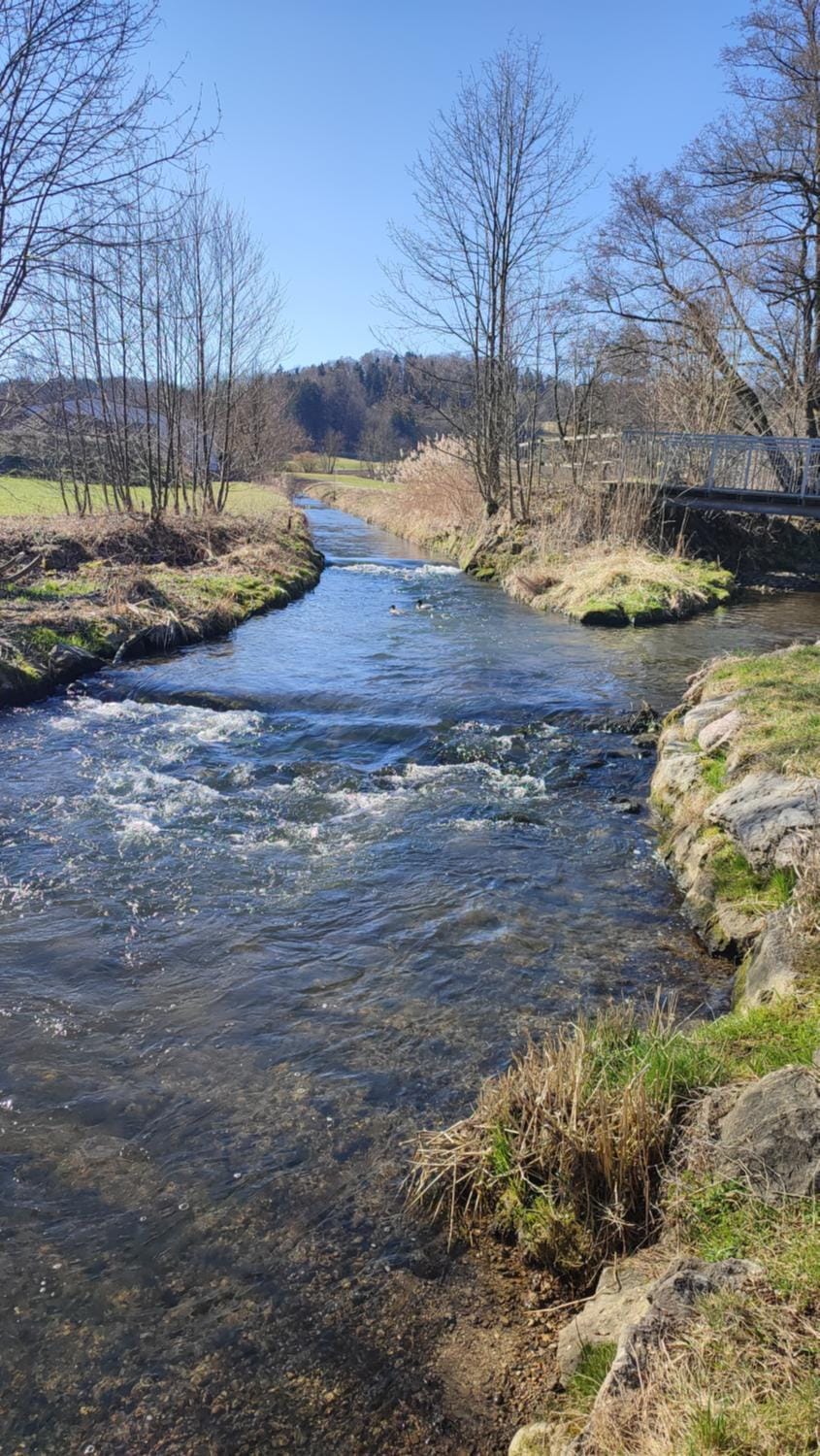 Natural landscape, River view