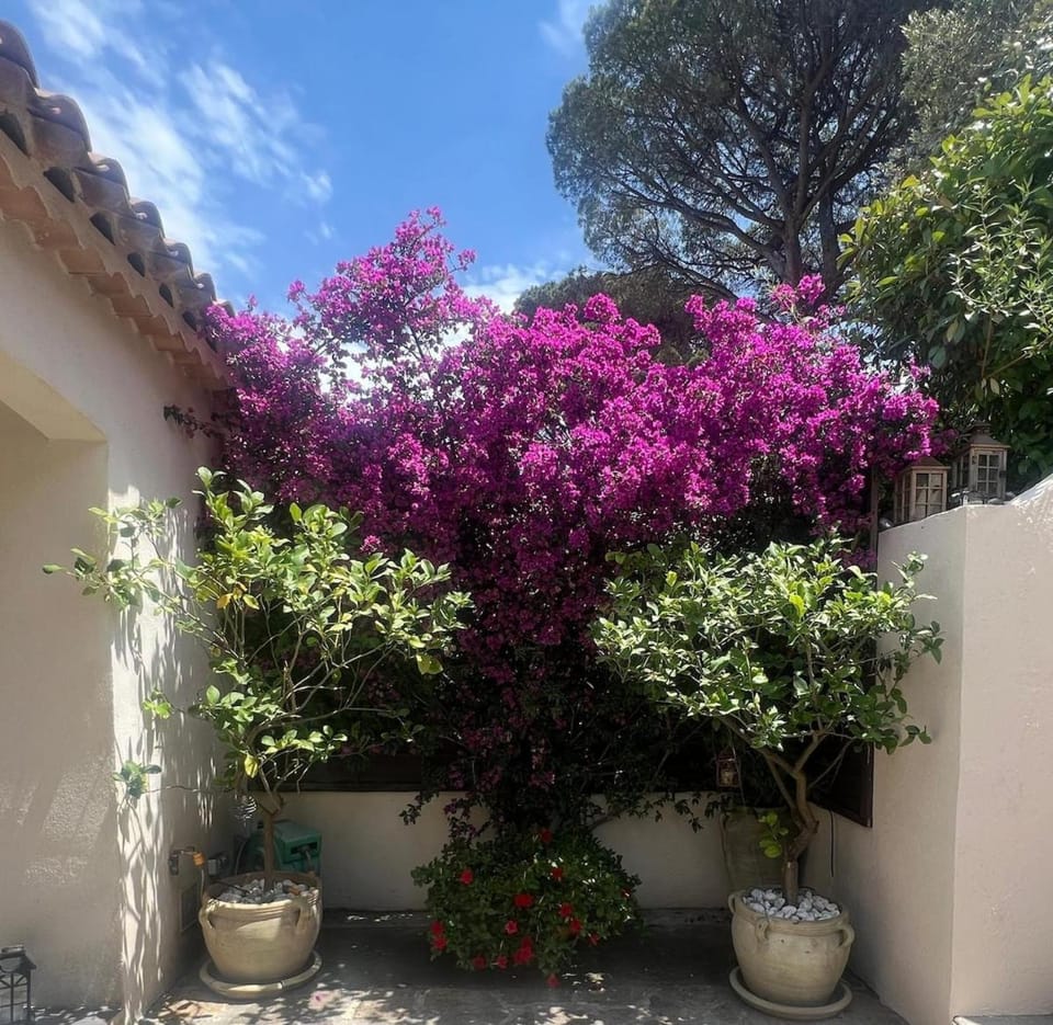 Maison LouLou House in Gassin