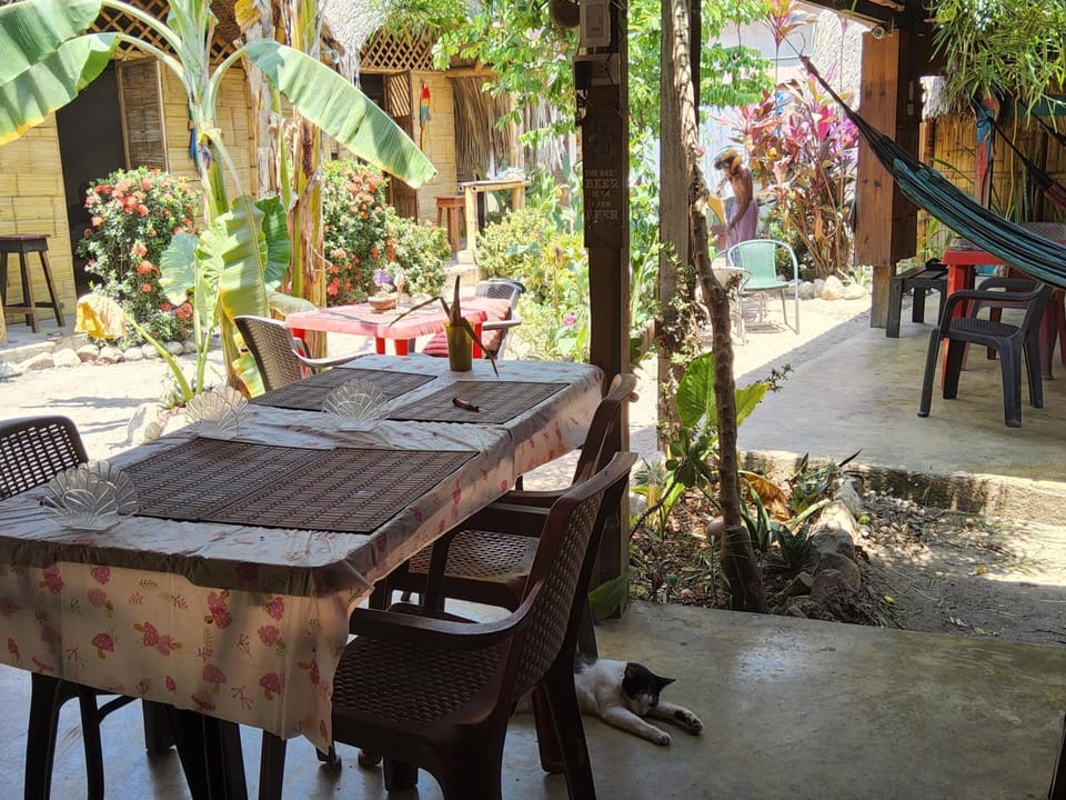 BUENA ONDA HOSTAL Palomino Hostel in Magdalena, Colombia