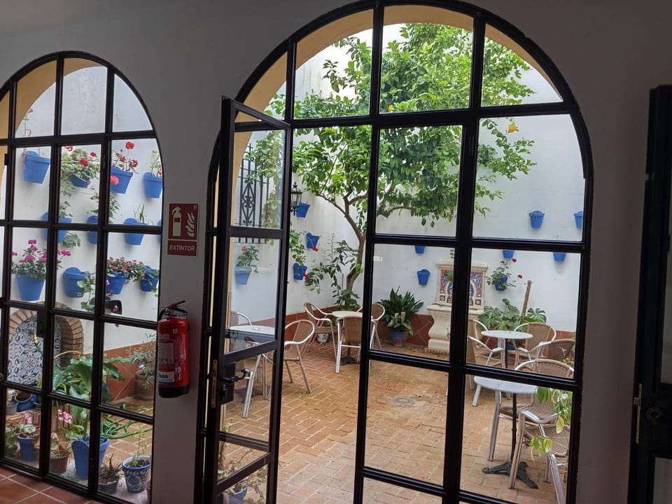Patio, Garden view