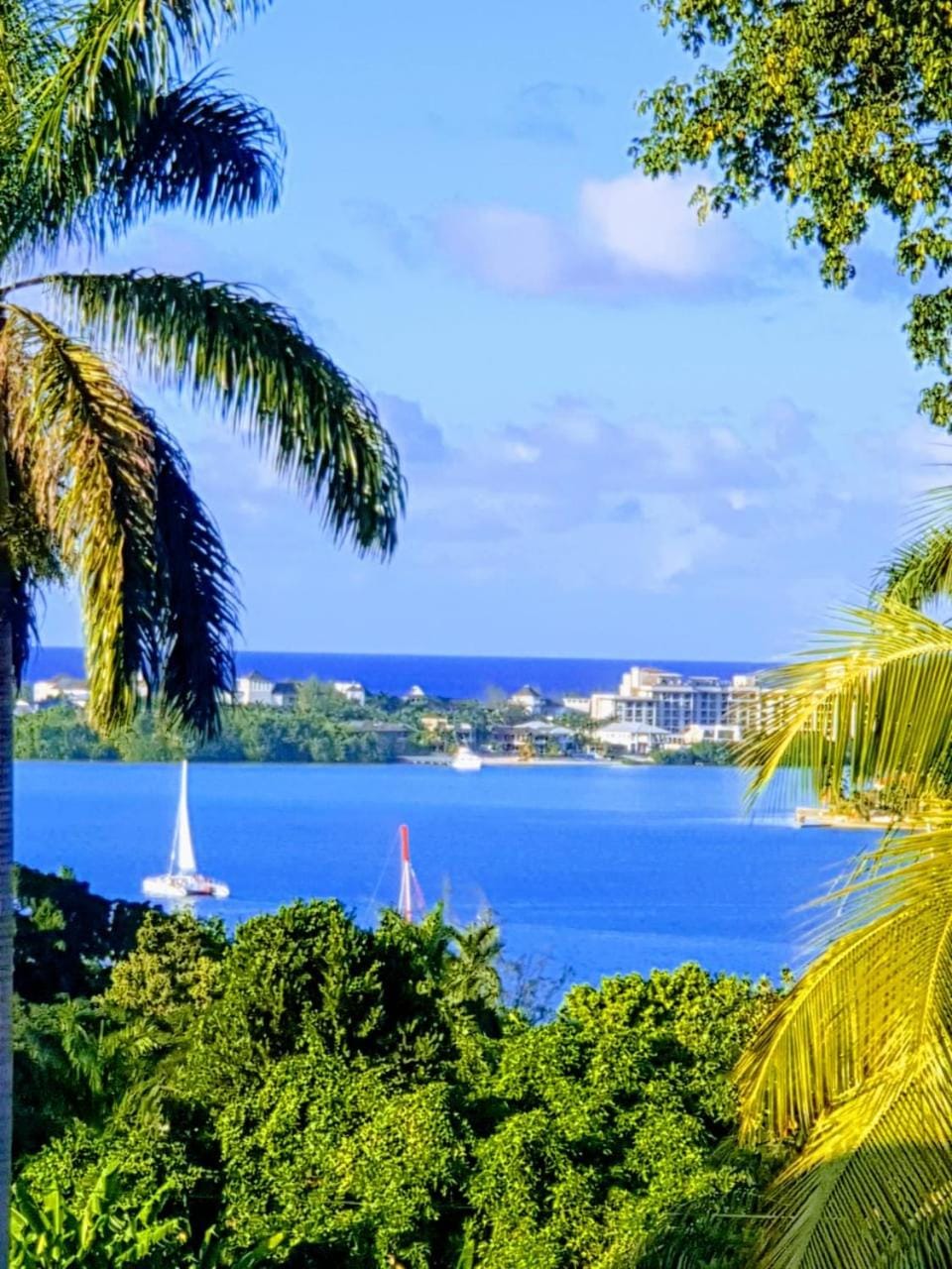 Turquoise Sea Villa Bed and Breakfast in Montego Bay