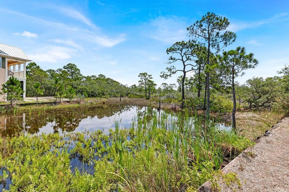 Casa Playa House in Alabama