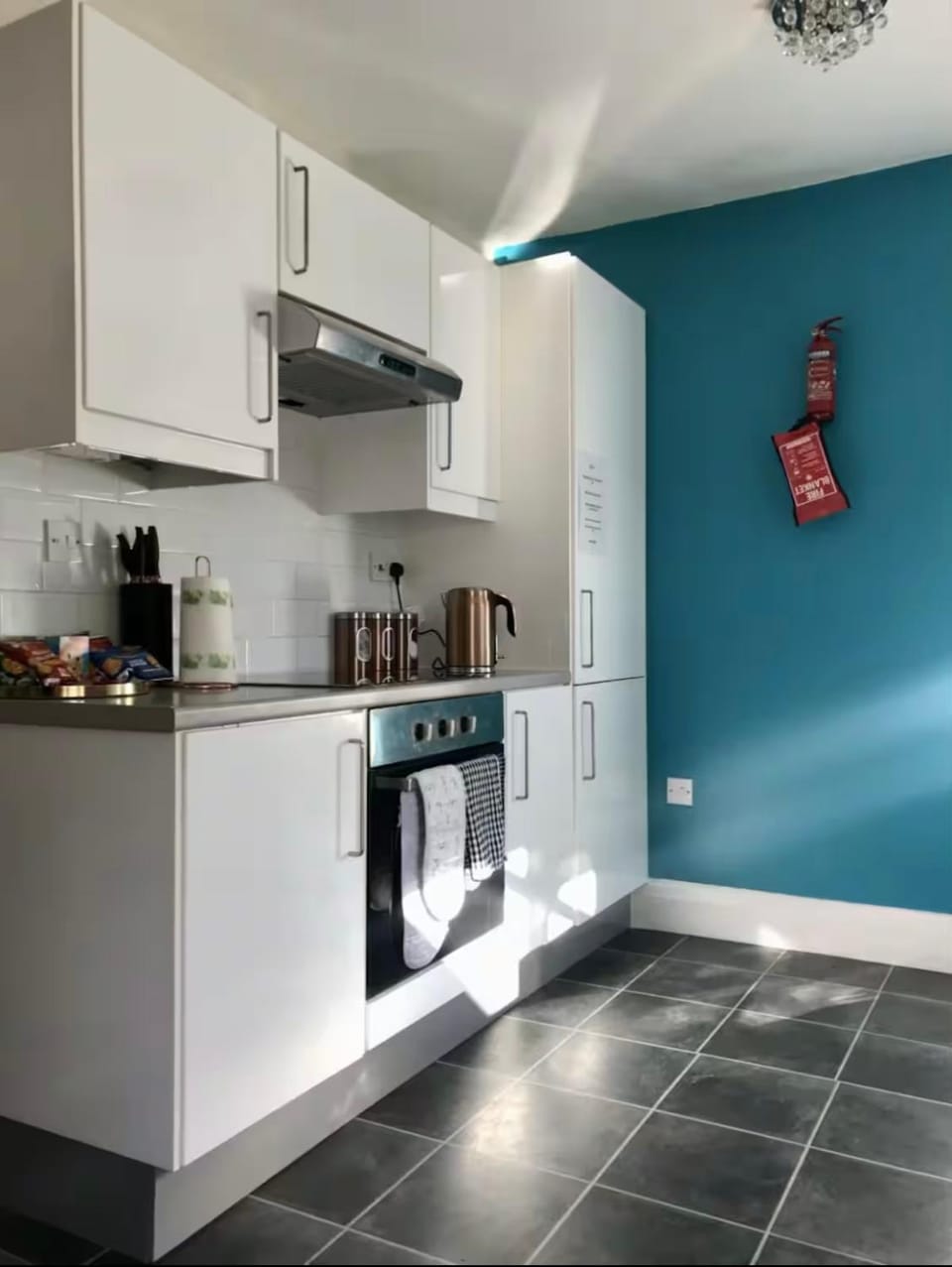 Kitchen or kitchenette, oven, pet friendly