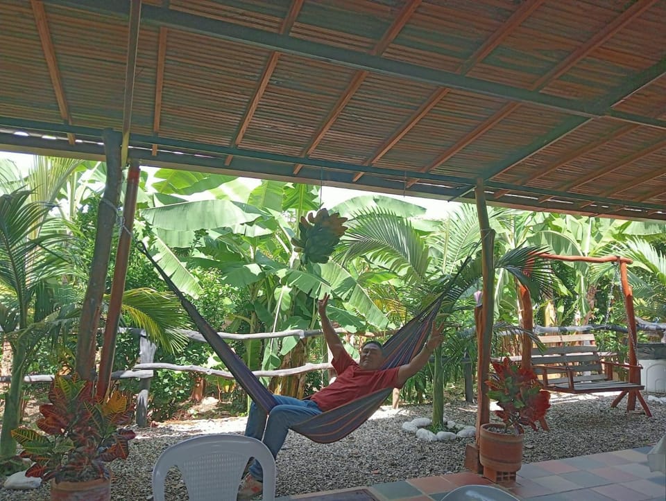 Patio, Garden view