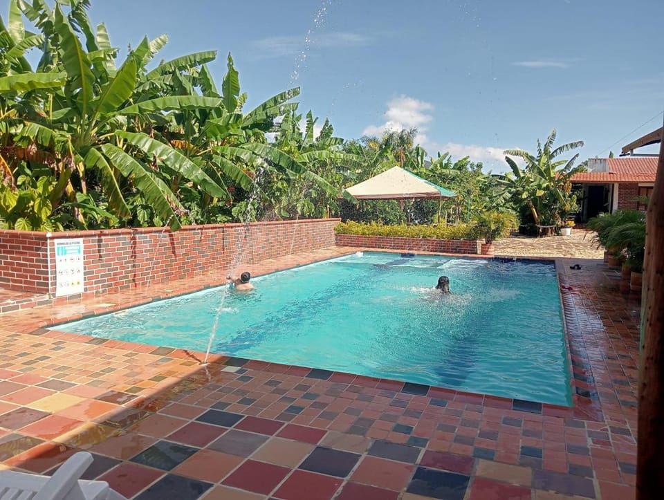 Pool view, Swimming pool