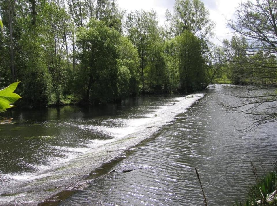 Willow Cottage House in Centre-Val de Loire