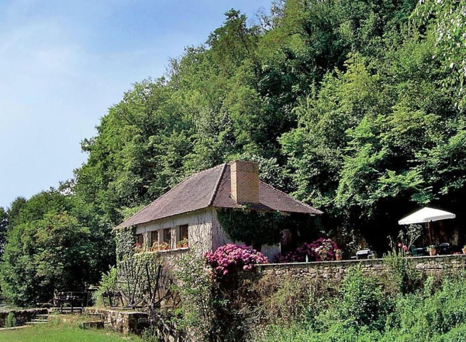 Willow Cottage House in Centre-Val de Loire
