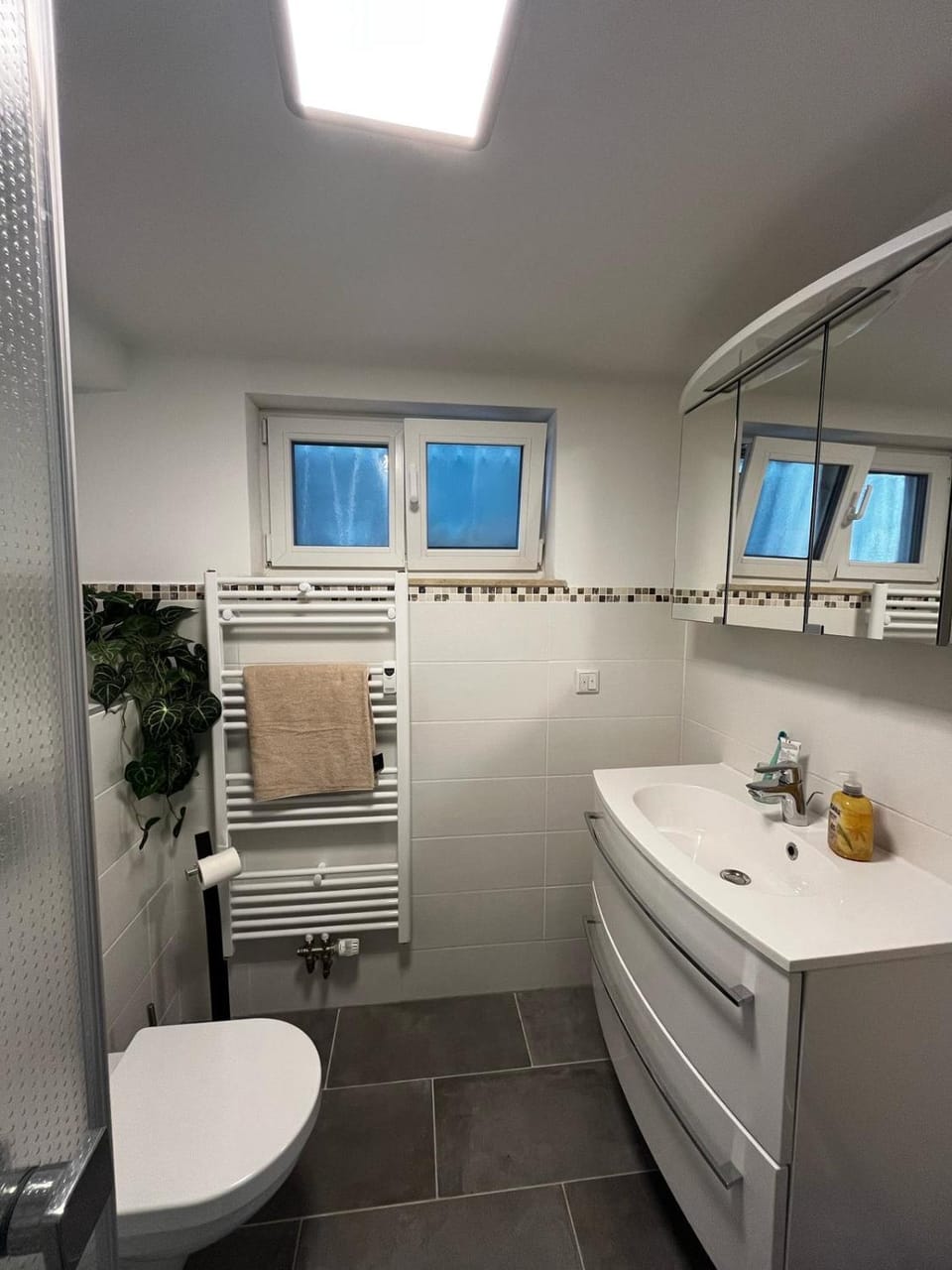 Toilet, Bathroom, towels
