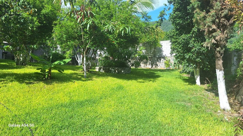Garden, Garden view