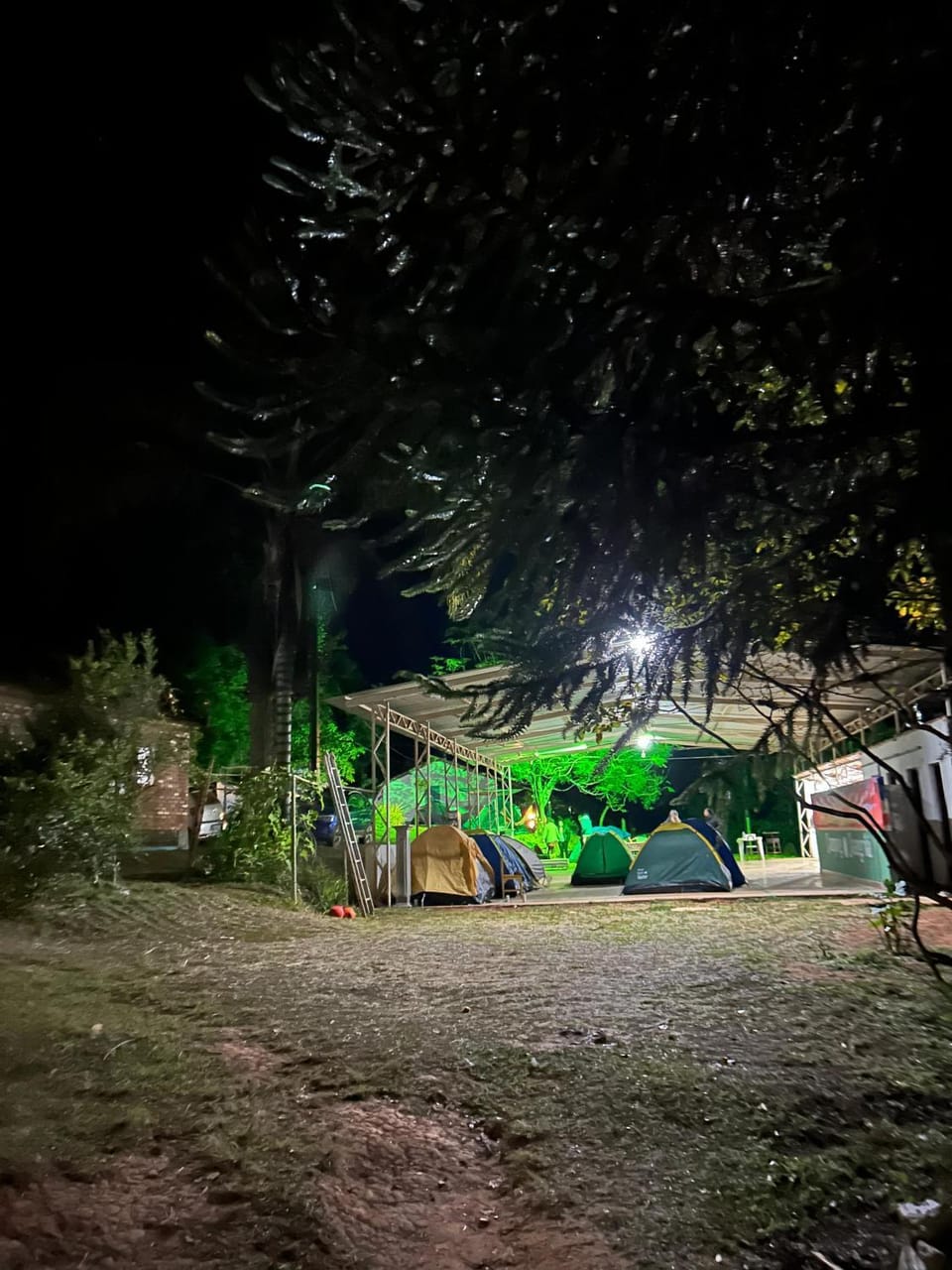 Night, Natural landscape