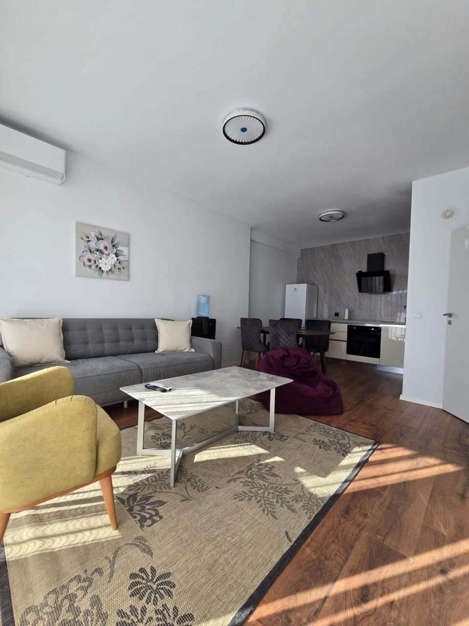 Living room, air conditioner