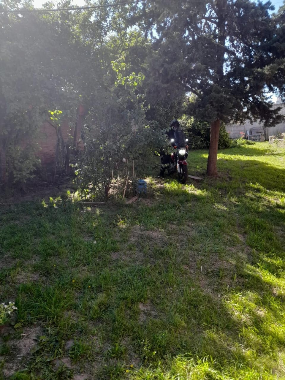 Garden view