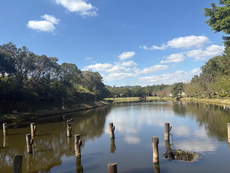 Lake view