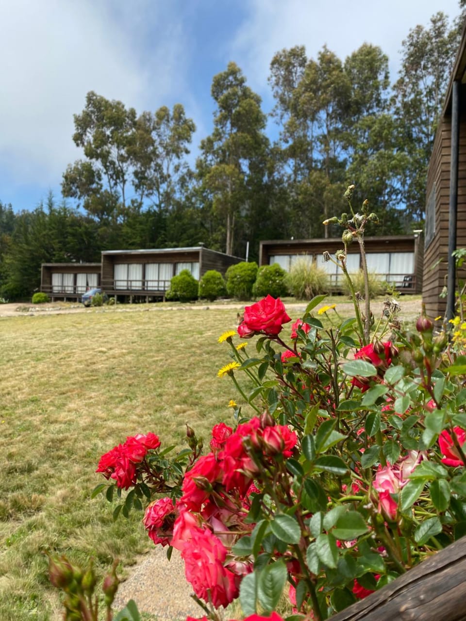 Property building, Spring, Day, Natural landscape, Garden, Garden view