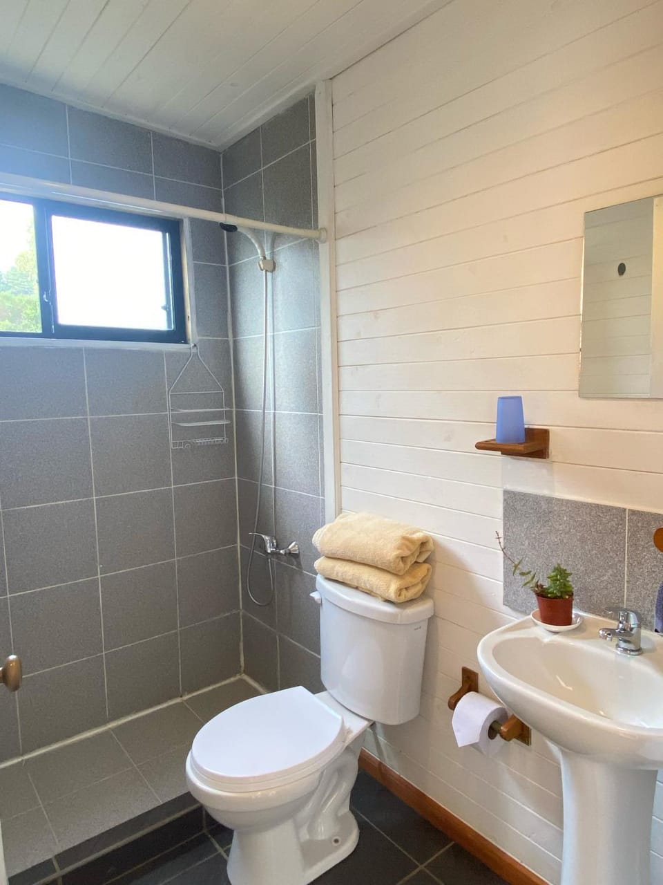 Shower, Toilet, Bathroom, bidet, towels