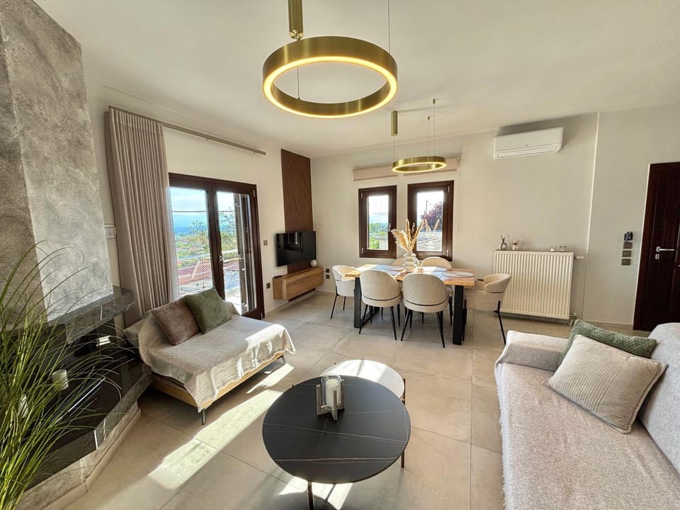 Living room, Photo of the whole room, Seating area, Dining area, air conditioner