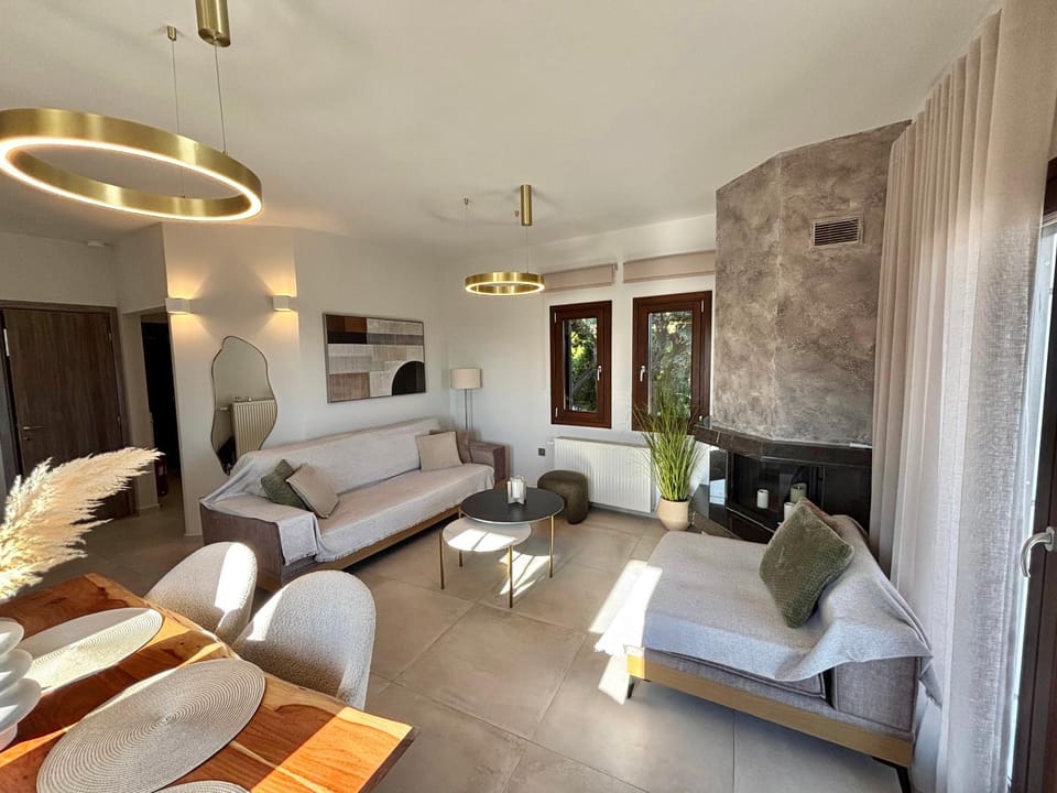 Living room, Photo of the whole room, Seating area, fireplace