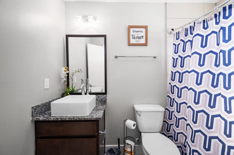 Comfortable 1BR Apartment Near NRG Stadium Apartment in Houston