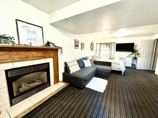TV and multimedia, Seating area, fireplace