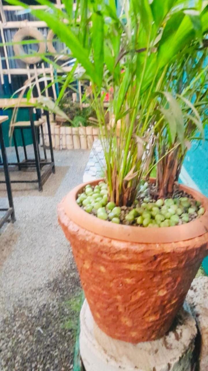 Munnar Kudil Resto Cafe Family Room Campground/ 
RV Resort in Kerala
