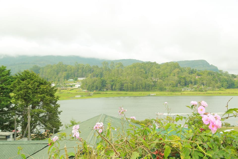 Nearby landmark, Spring, Natural landscape, Lake view