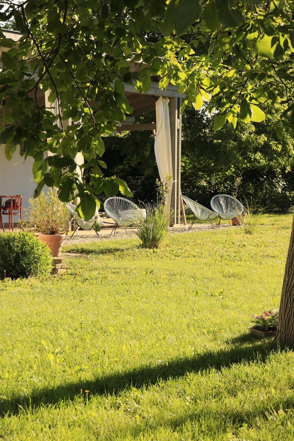 Patio, Garden