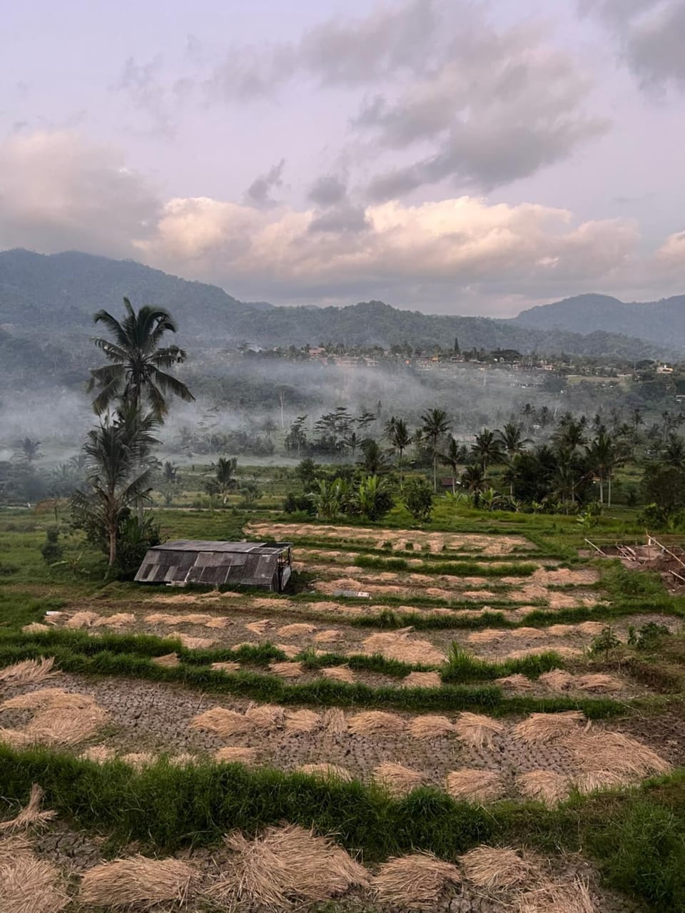 Embun Pagi Homestay And Spa Vacation rental in Sidemen