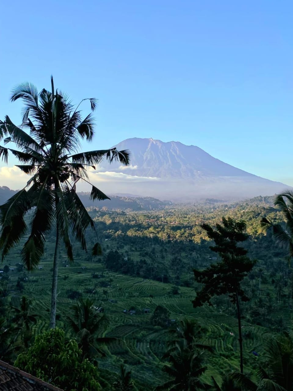 Embun Pagi Homestay And Spa Vacation rental in Sidemen