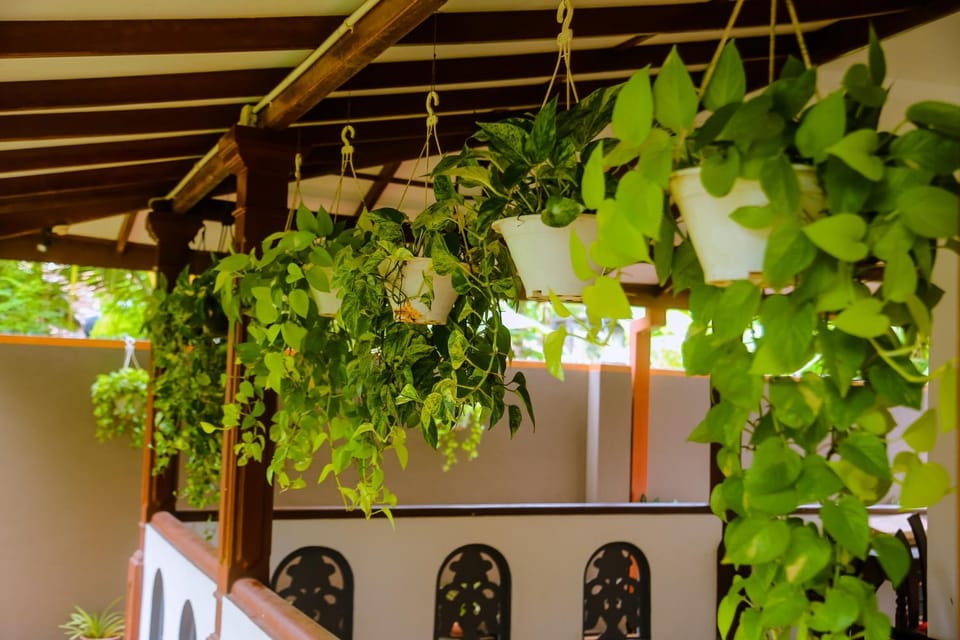 Evergreen Cottage Apartment in Mirissa
