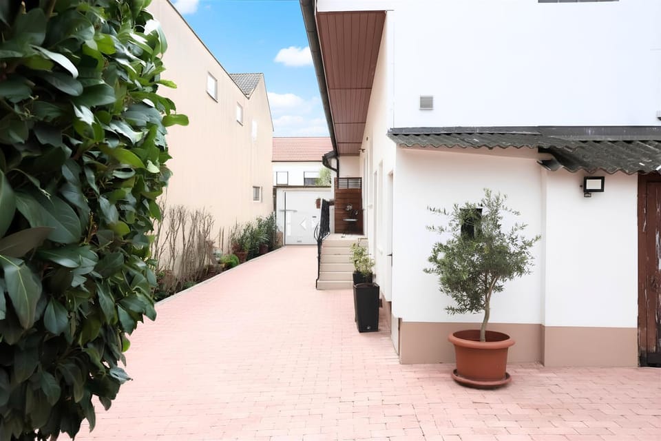 Property building, Day, Garden, Garden view, Inner courtyard view