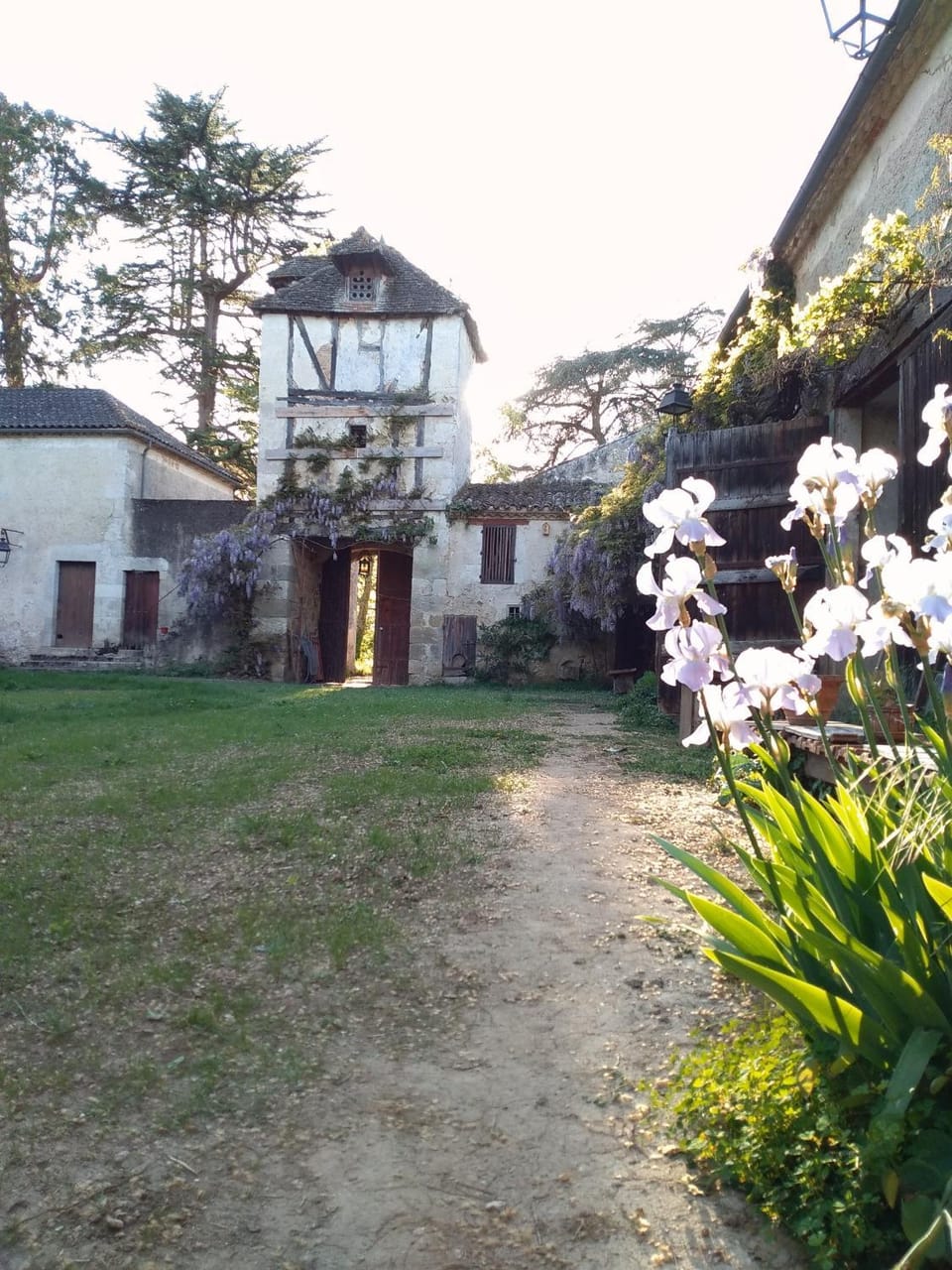 Inner courtyard view