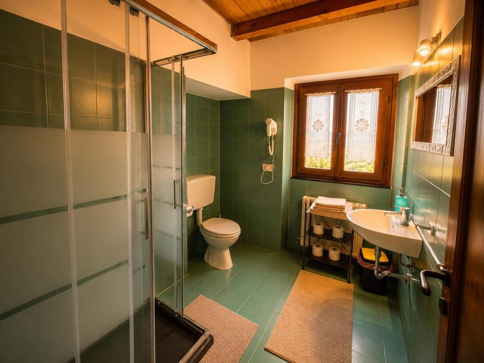 Toilet, Bathroom, towels