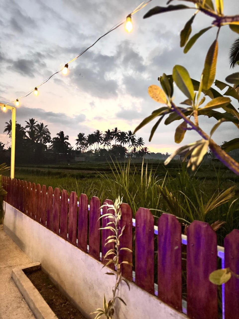 Day, Garden view