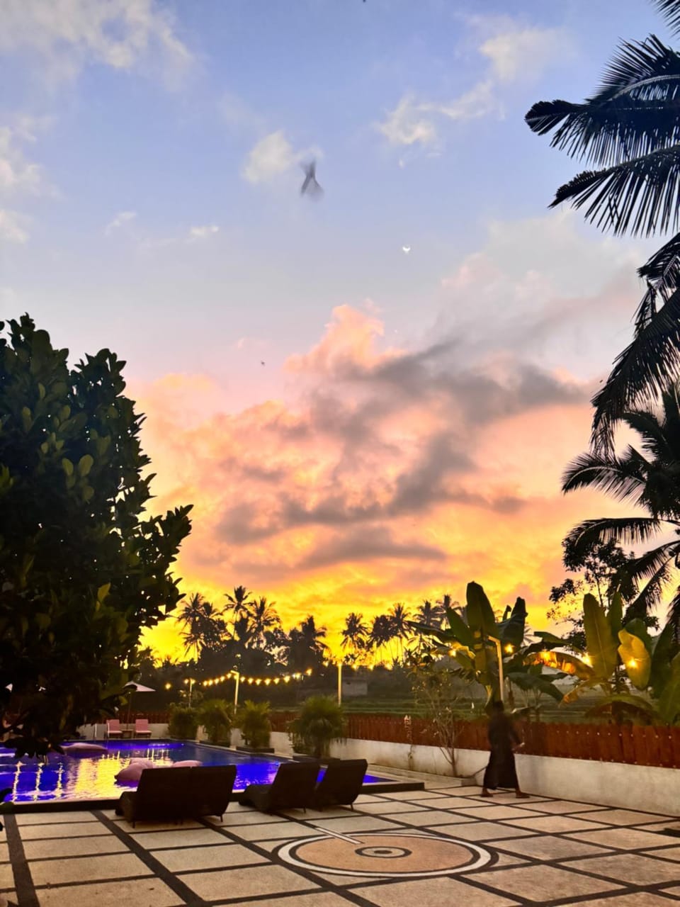 Day, Natural landscape, Garden, Garden view, Pool view, Swimming pool, Sunset