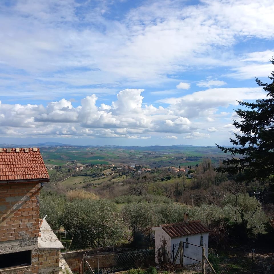 View (from property/room)