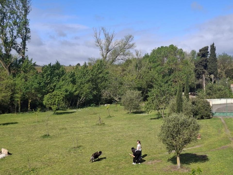 La cazabanelle Bed and Breakfast in Occitanie