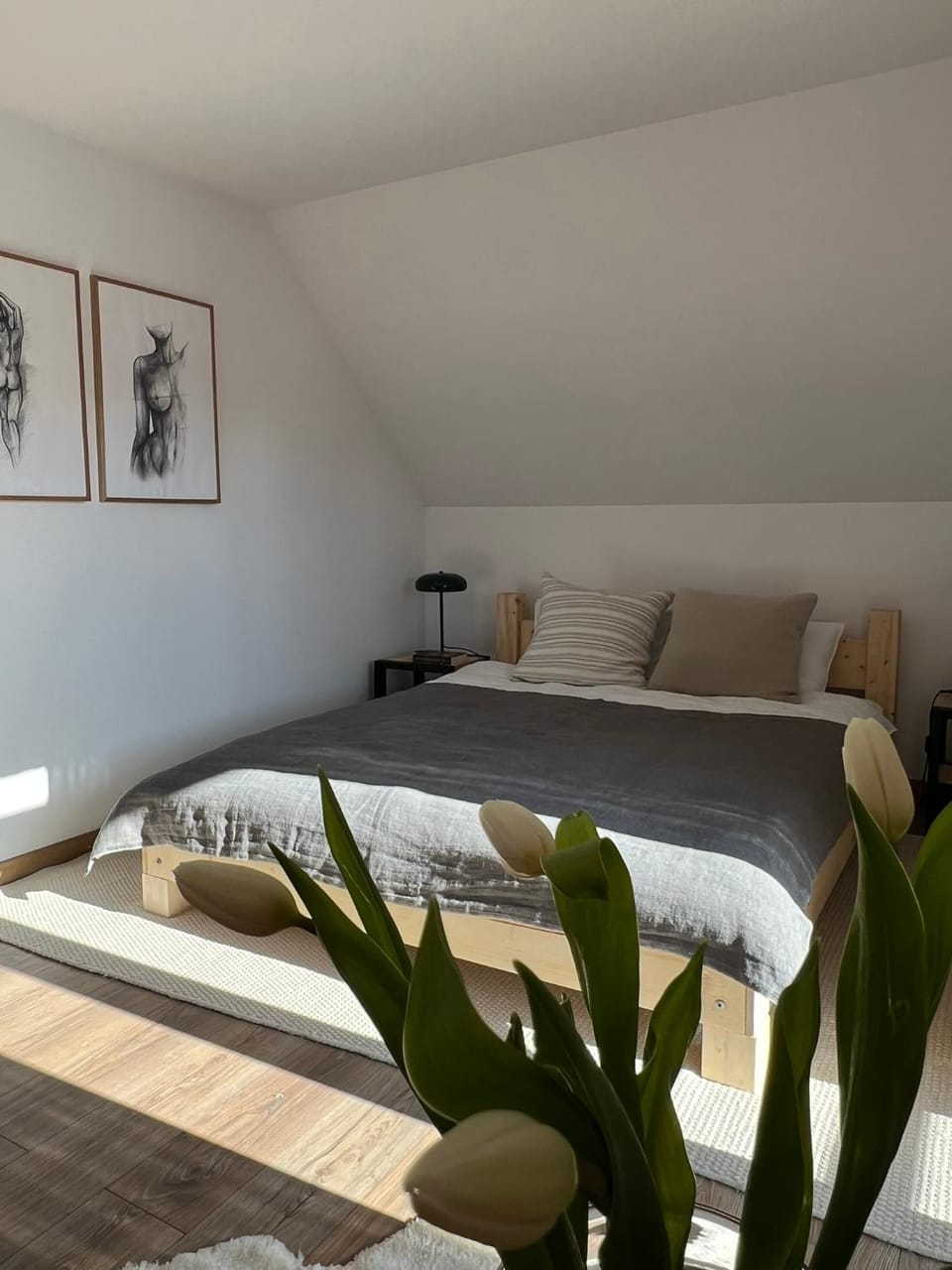 Galopowisko Szafarnia Apartment in Poland