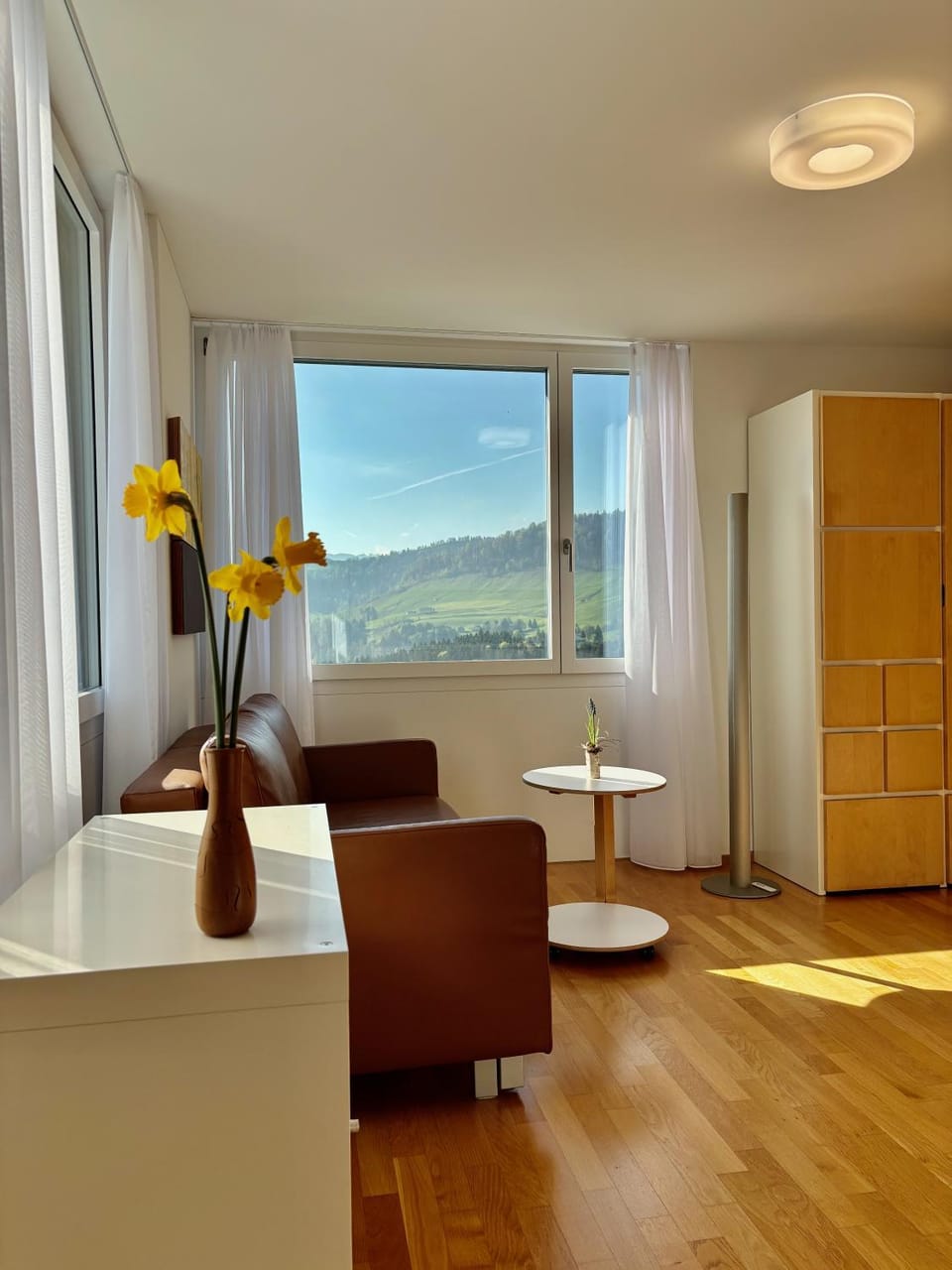 View (from property/room), Living room