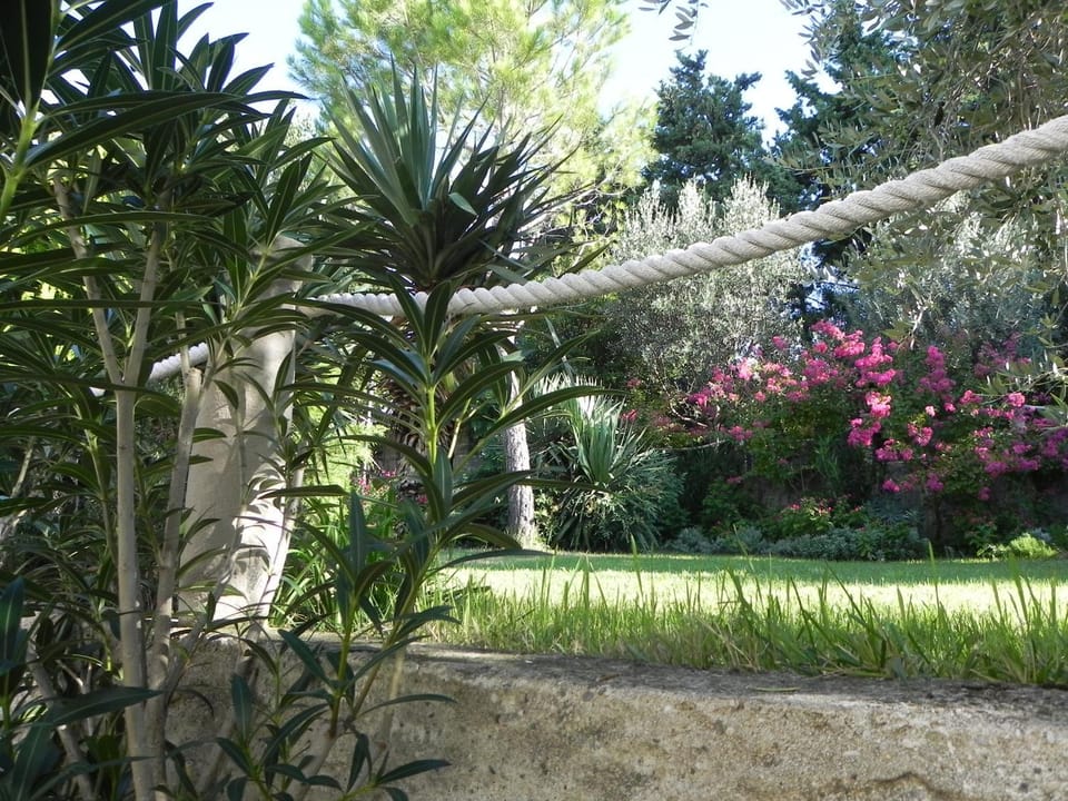 Garden, Garden view
