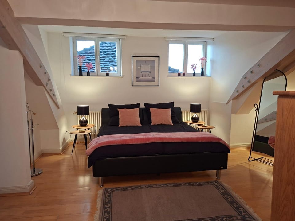 Rosarote Insel - La Vie en Rose Apartment in Lindau