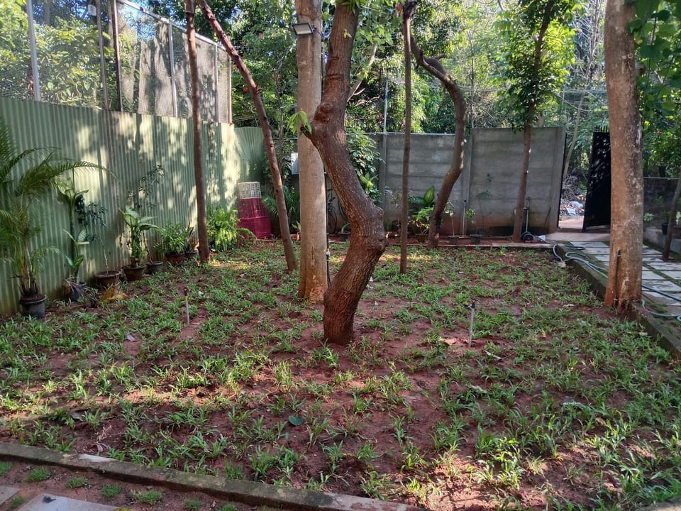 Natural landscape, Garden, Garden view