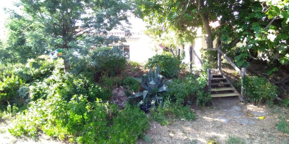Patio, Garden, Garden view