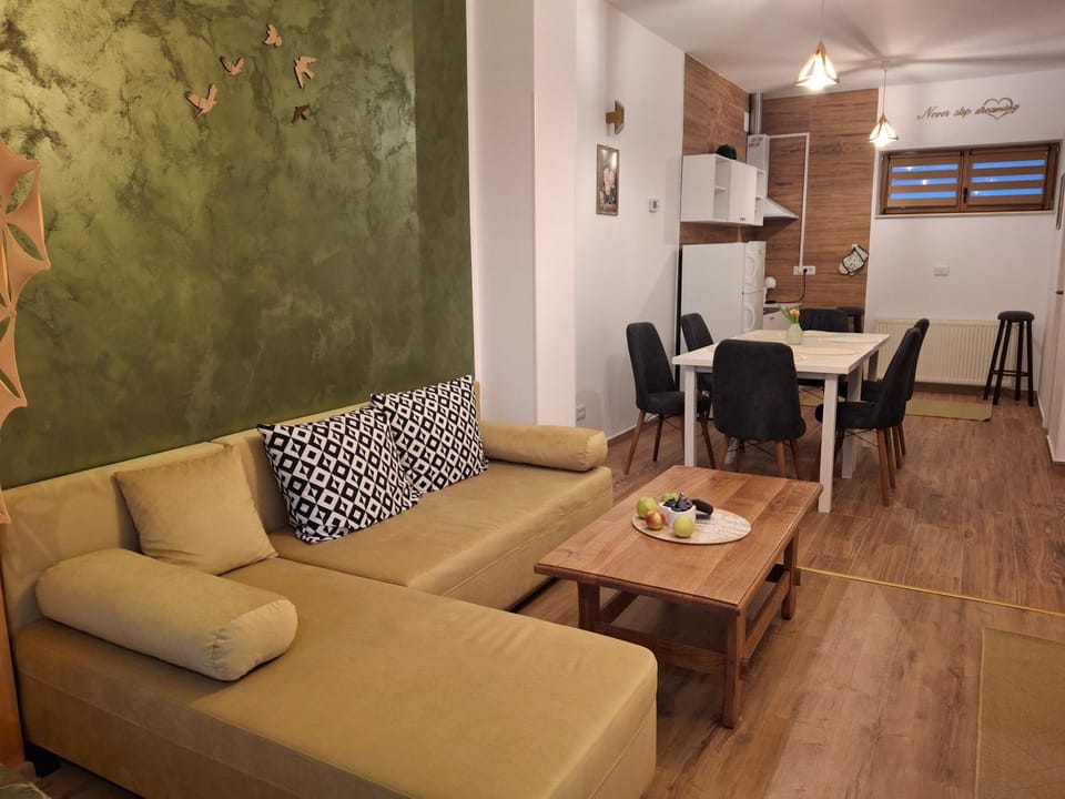 Pensiunea Casa Dorneană Bed and Breakfast in Romania