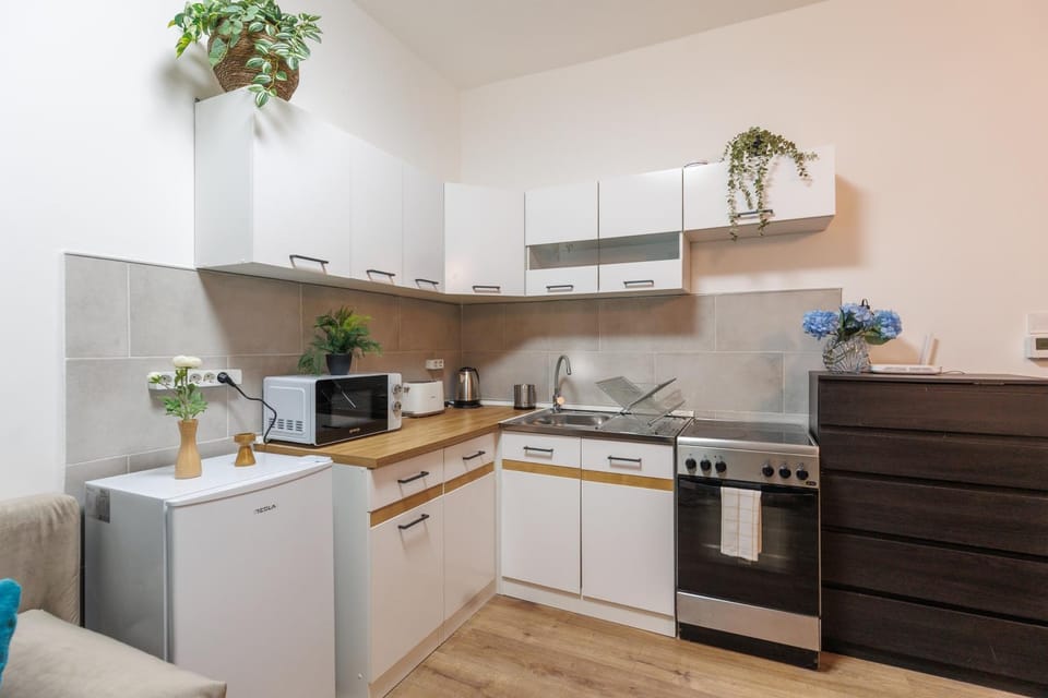 Coffee/tea facilities, Kitchen or kitchenette, oven, stove