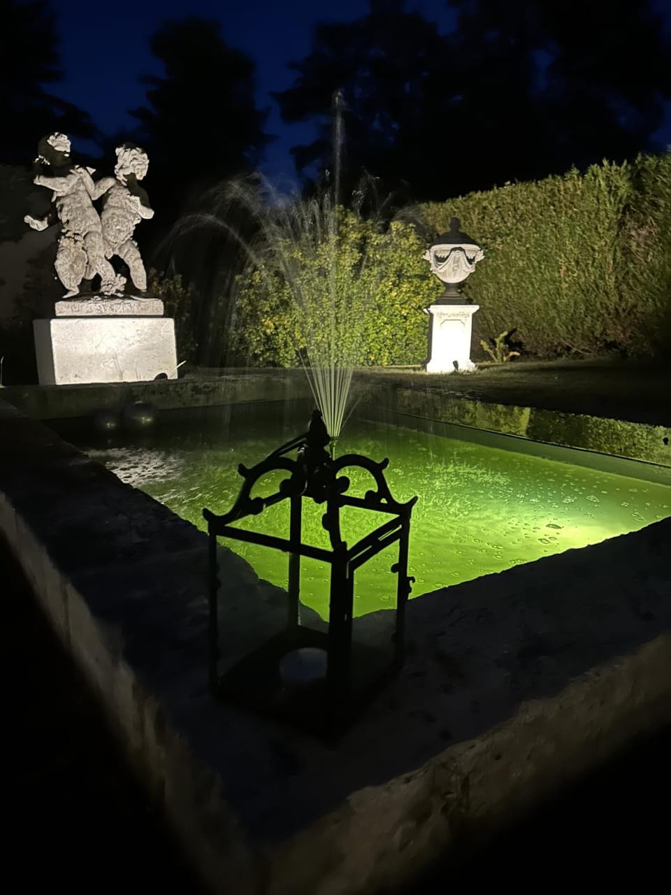 Night, Garden, Garden view